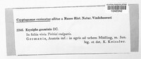 Blumeria graminis image
